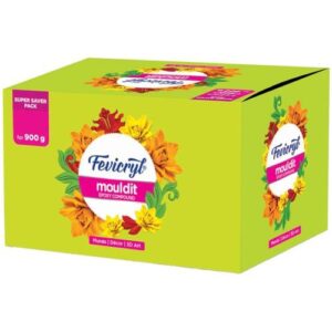 Fevicryl (mouldit Epoxy Compound) Clay for 900gm