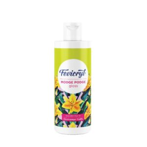 fevicryl (MODGE PODGE GLOSS)
